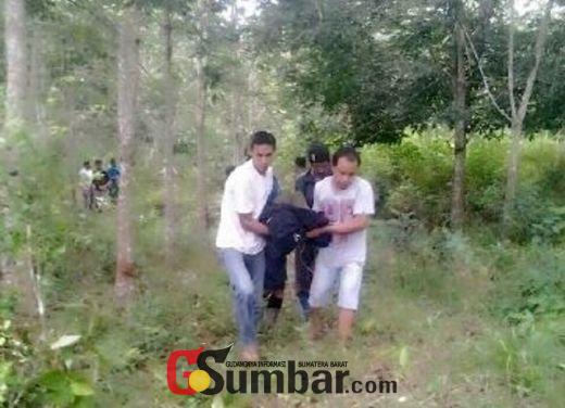 73 Gambar Babi Tertembak Terbaik 73 Gambar Babi Tertembak Terbaik